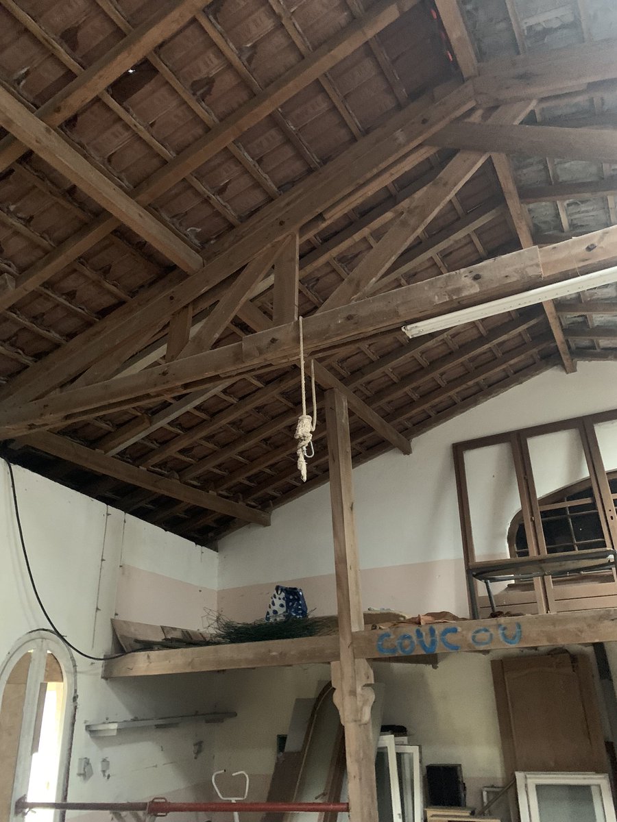 Erin (she/her) tweet media