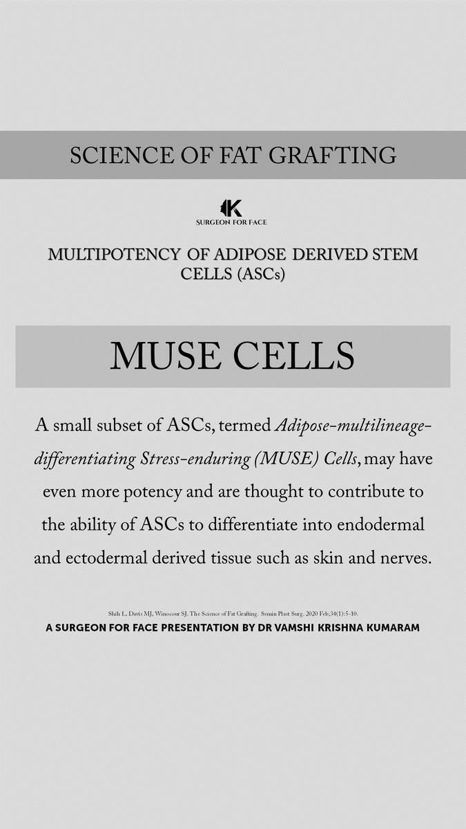 CAN ADIPOSE DERIVED STEM CELLS (ASCs) DIFFERENTIATE INTO ENDODERMAL AND ECTODERMAL TISSUES? 

#vamshikumaram #surgeonforface
#surgeonforfaceknowledge

@VamshiKumaram @aomsiOfficial @prsjournal @PRSGlobalOpen @waocs_org @AACS_News @IAOMS @aaoms @BAOMSOfficial @EAFPS @AACS_News