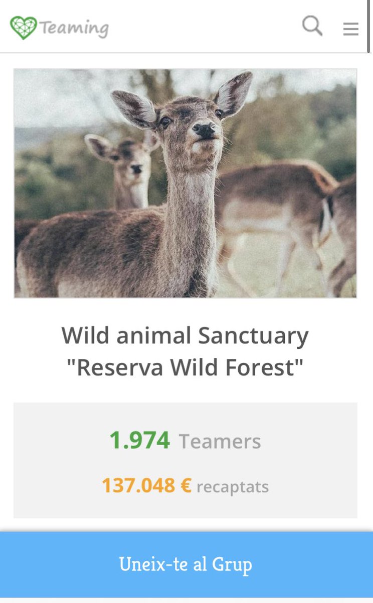 Algo pasa con #reservawildforest
<a href="/Teaming/">Teaming</a>