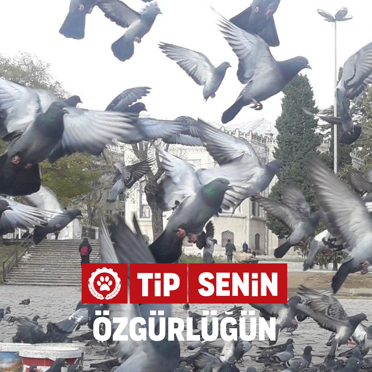 IsciPatisi's tweet photo. #TipSenin özgürlüğün! https://t.co/MPbRfpxgWi