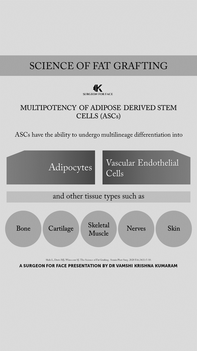 MULTIPOTENCY OF ADIPOSE DERIVED STEM CELLS (ASCs) 

#vamshikumaram #surgeonforface
#surgeonforfaceknowledge

@VamshiKumaram @aomsiOfficial @aomsitnp @prsjournal @PRSGlobalOpen @waocs_org @AACS_News @IAOMS @aaoms @BAOMSOfficial @EAFPS @EAFPSLondon @AACS_News