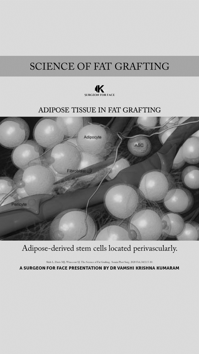 ADIPOSE-DERIVED STEM CELLS LOCATED PERIVASCULARLY

#vamshikumaram #surgeonforface
#surgeonforfaceknowledge

@VamshiKumaram @aomsiOfficial @aomsitnp @prsjournal @PRSGlobalOpen @waocs_org @AACS_News @IAOMS @aaoms @BAOMSOfficial @EAFPS @EAFPSLondon @AACS_News