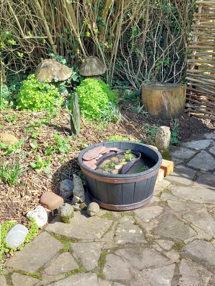 greendragon123's tweet image. #springproject #GardeningTwitter  mini pond made.....bricks for steps....see what happens 😉😁😊🐸🐌🐞🐝🦋❤️
