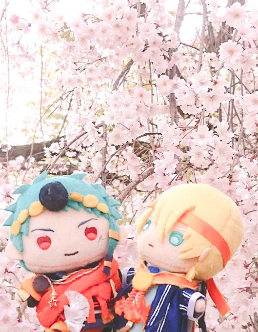 これはお花見ぶしんば 