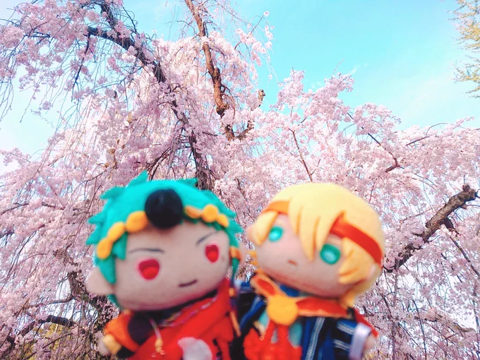 これはお花見ぶしんば 