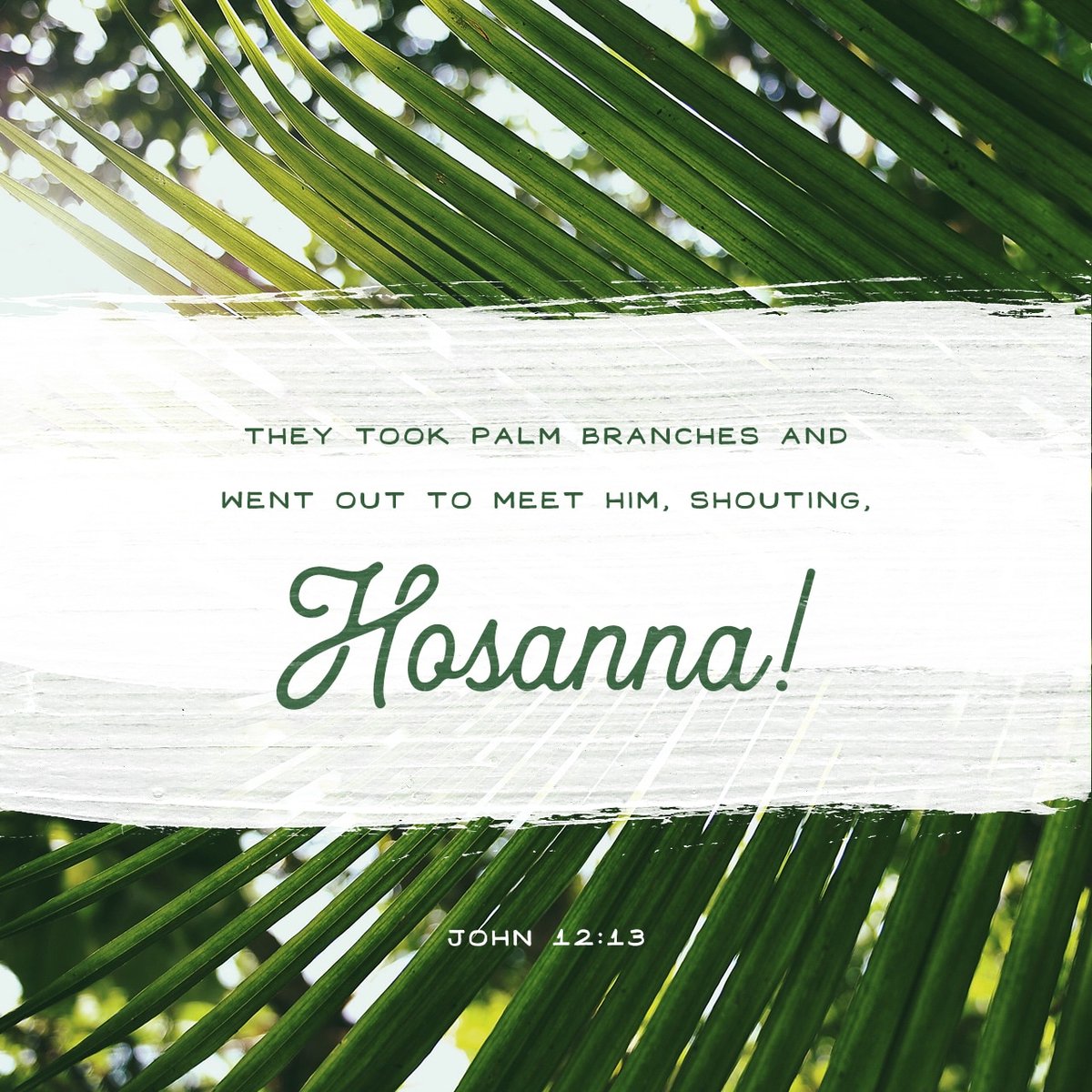 took branches of palm trees, and went forth to meet him, and cried, Hosanna: Blessed is the King of Israel that cometh in the name of the Lord.
John 12:13 KJV

bible.com/verse-of-the-d…
#PalmSunday