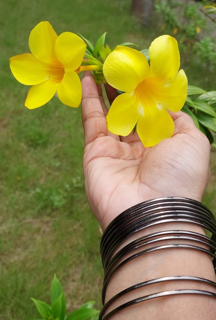 Madhumathi_Inks's tweet photo. 🍃 💛 💗 🤍 🍃
"The Earth laughs in flowers"
~Emerson
💐
#EternalLoveForNature
#naturelovers #Nature #Flowers #Chennai #ChennaiVibes #Spring #photography #LanguageOfColors #Bougainvillea https://t.co/CmnaxQhNIg