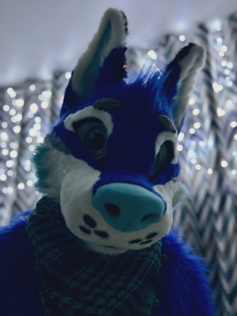 I wish you all a great day!
#furry #fursuit #FursuitEveryday