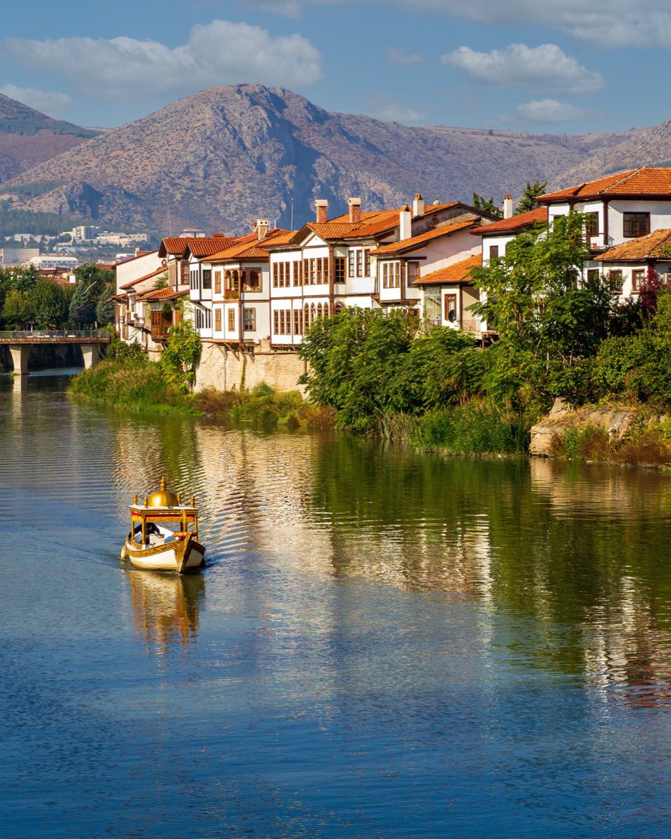 amasyagram tweet media