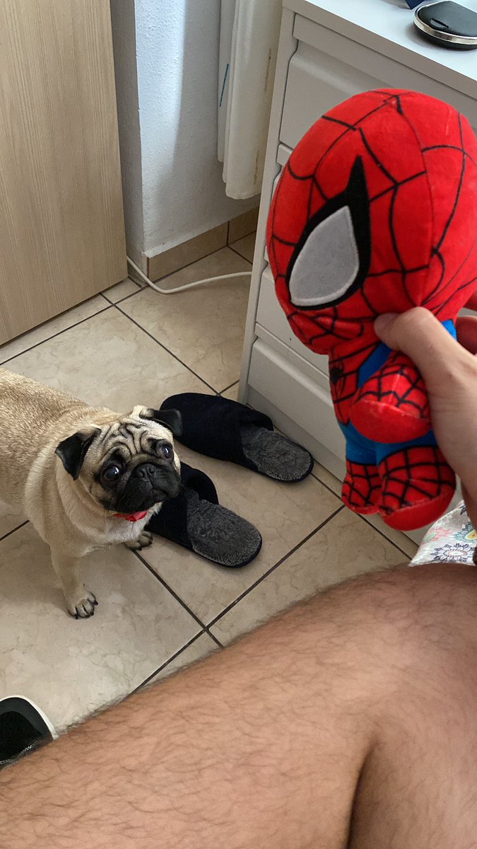 Igna 🇦🇷 tweet media