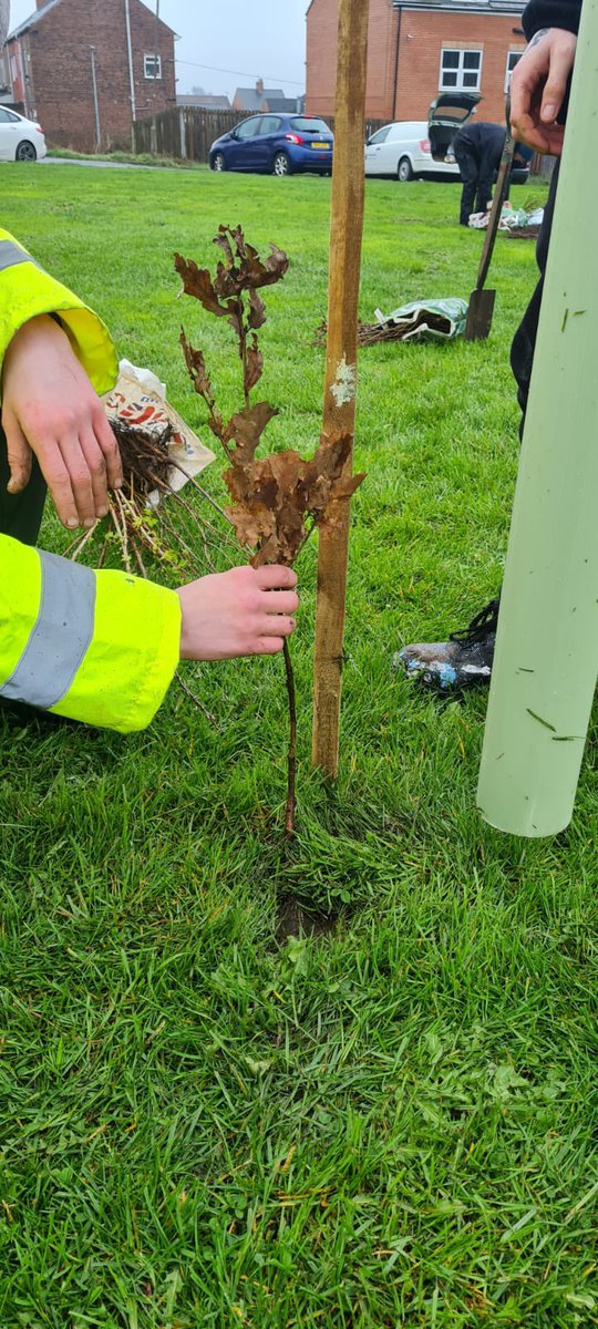 CP_OPSMNGR's tweet photo. Happy to have gotten involved in some tree planting in Barnsley in partnership with @BarnsleyCouncil and @YorksWildlife. Looking forward to getting involved next season! https://t.co/2KZZ5ezBKc
