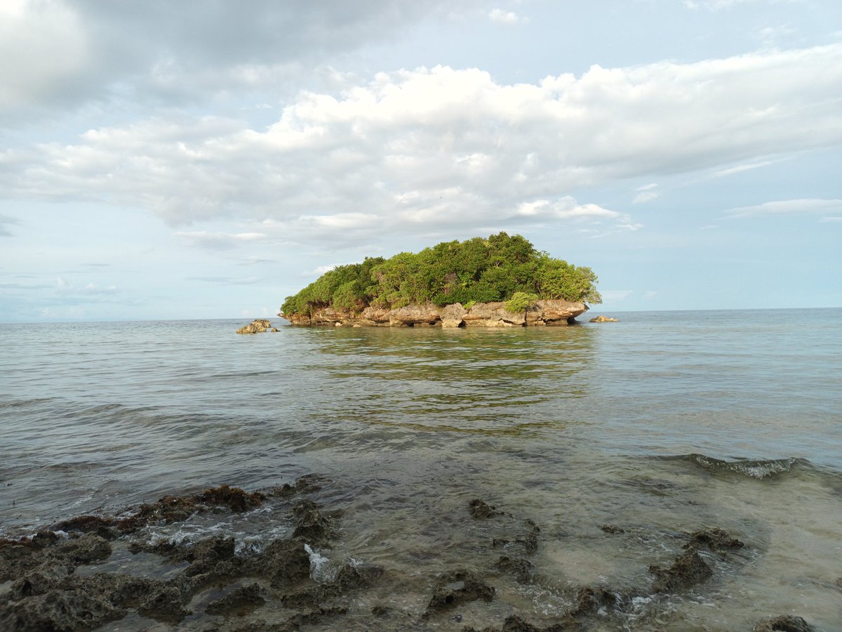 waynerjohn's tweet photo. The best Palm Sunday. New place found, an add on your Siquijor travel itenerary.

#PalmSunday #Family #Siquijor #NewSpot #Achievement #Chillin https://t.co/4mHdTEh9eM