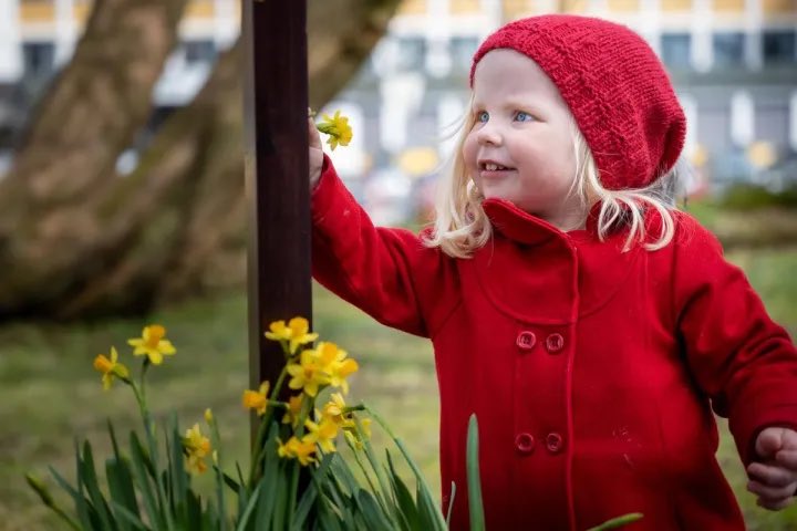 I påsken inviterer menigheter i Den norske kirke til over 3000 arrangementer i kirkene landet over. Gudstjenester, konserter, påskemåltider og vandringer er bare noe av det du kan oppleve.
kirken.no/nb-NO/kristen-…