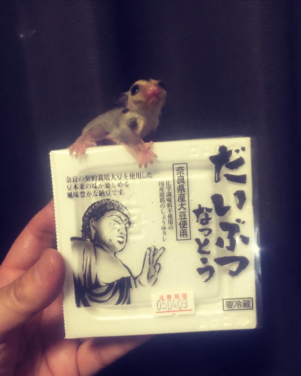 なっとう だいぶつなっとう】 もう、奈良の大仏の頭が納豆にしか見えなくなった