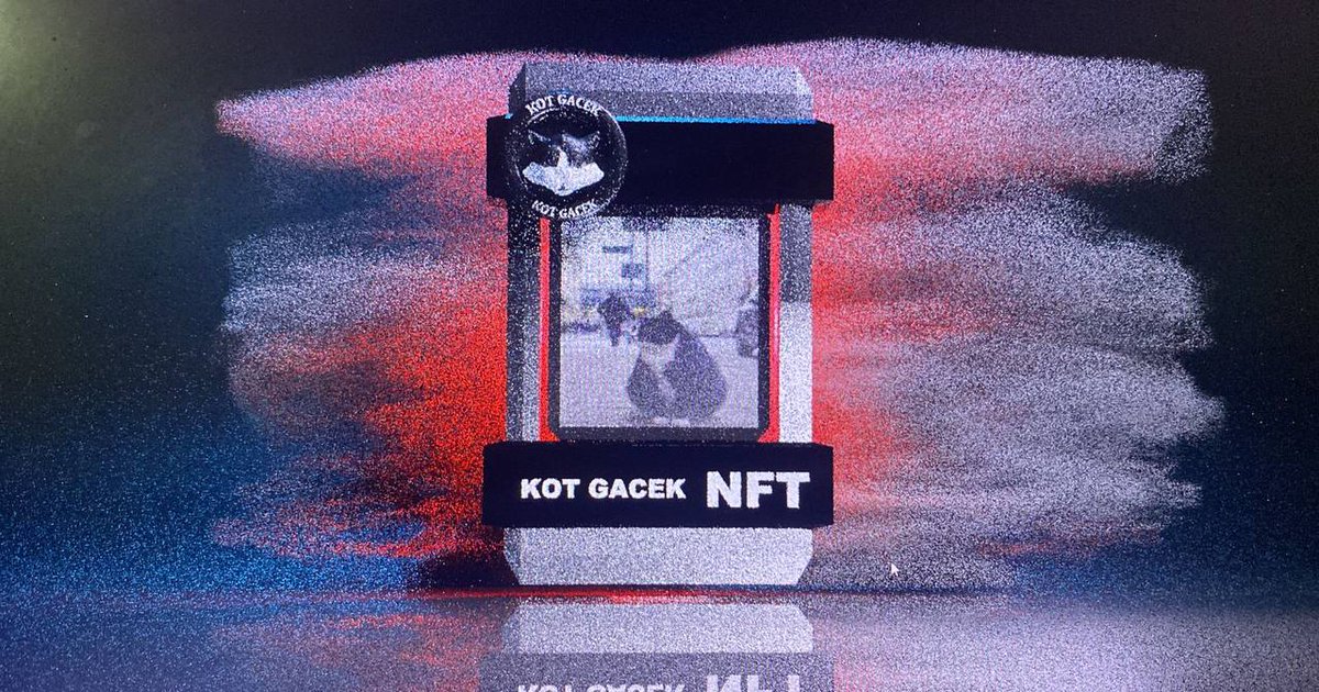 "Viral Gacek,Street Cats That Liven Up Polish Harbor City"
The media says it's not cool enough, there are more than 2,500 online reviews about it. He also got a near perfect score of 4.9 out of 5.
we created a project to make a donation and make a proper place for this cute cat😻