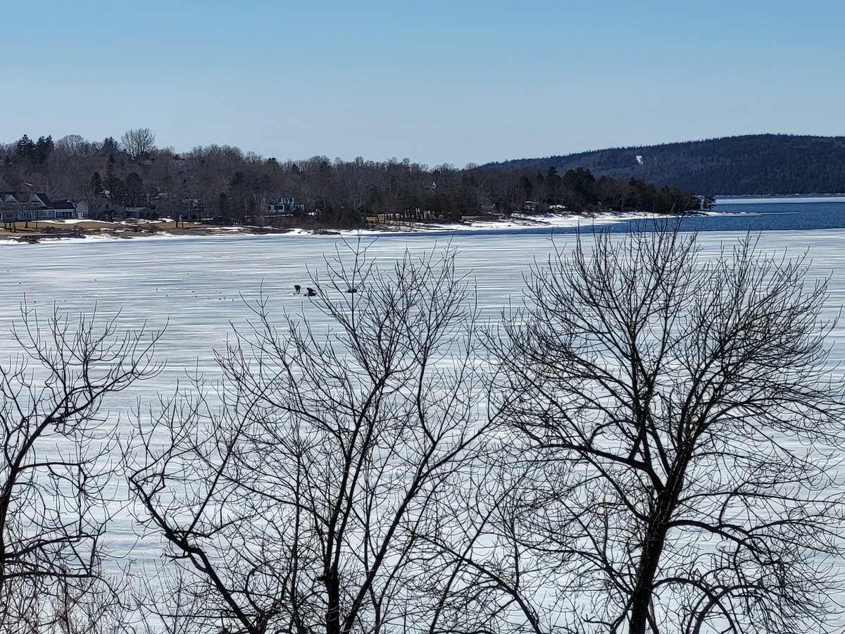 zeldam98's tweet photo. @uptownini Crazy ice fishing people. https://t.co/rX3WnBq6b7