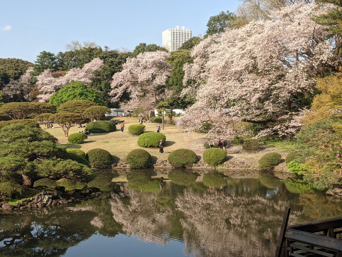 Shinjuku Gyoen National Garden 🌸✌️