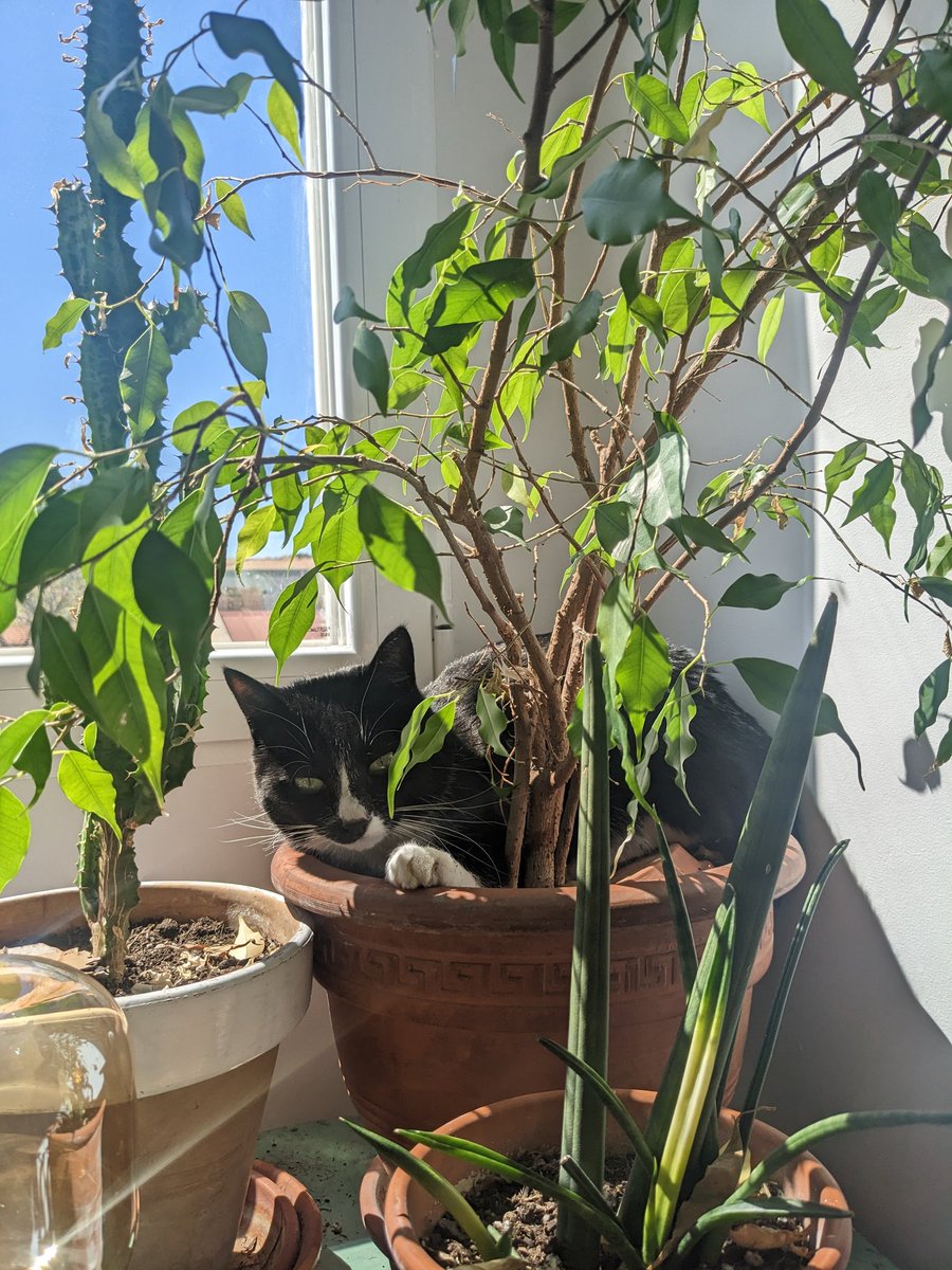 minipetite's tweet photo. #springmode https://t.co/zV2EzKalo6