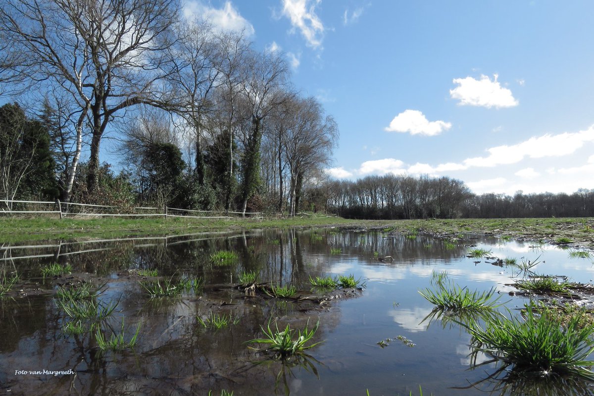 Margreeth0_0's tweet photo. Hoogwater en bovendien nog overal kletsnat. Een koude wind maar heerlijk om er even uit te zijn! #StormHour #ThePhotoHour #puddles #NaturePhotograhpy #NatureBeauty #TwitterNaturePhotography #reflectie #sundayvibes #fietsen #frisseneus #hoogwater #Lieveren #Lieverschediepje https://t.co/OYMpNF2Bgw