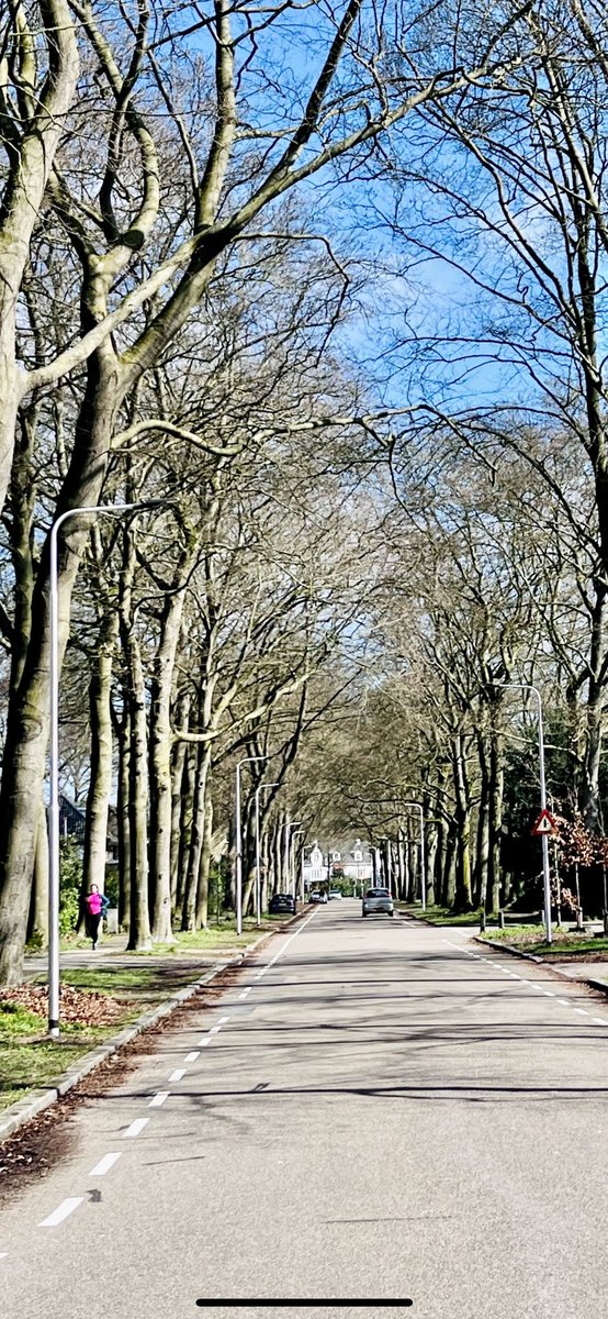 Tuinwijk Sterrebosch tweet media