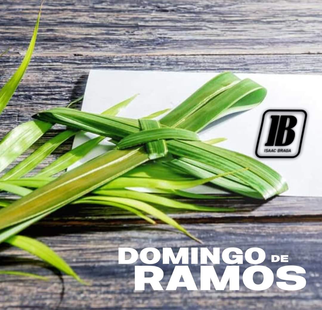 VeraPoeta's tweet photo. @antiquadux91 A paz não pode reinar entre os homens, se antes não reinar no coração de cada um deles!
Bom domingo de Ramos!
#IBVC #DomingoDeRamos2023 . https://t.co/wjwFktbAGP