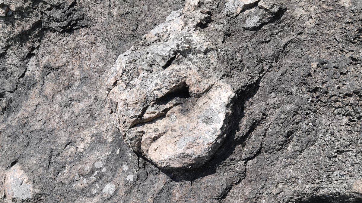adelanyaying's tweet image. See these interesting blobs of magma (glass) in an rhyolitic pyroclatic flow. What are they possibly indicating?
#rhyloite #volcanicrock #pyroclasticflow