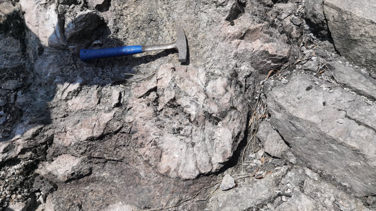 adelanyaying's tweet image. See these interesting blobs of magma (glass) in an rhyolitic pyroclatic flow. What are they possibly indicating?
#rhyloite #volcanicrock #pyroclasticflow