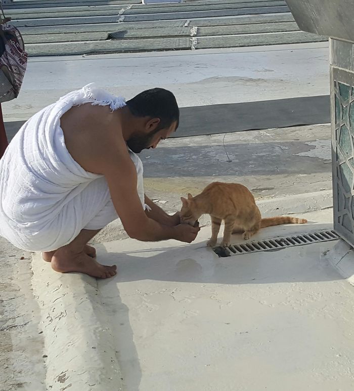 daily_wholesome's tweet photo. In Mecca The man letting a cat drink from his palms when he couldn't find a cup
#humansbeingbros #wholesome #wholesomememes #aww https://t.co/GDRibd0amT