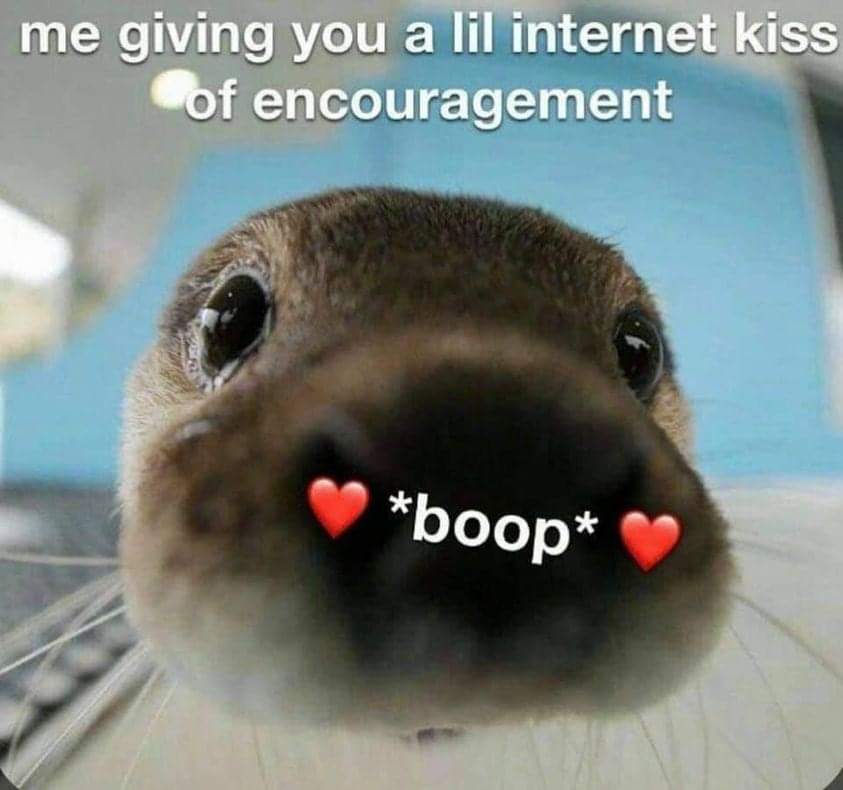 In Otter News.... tweet media