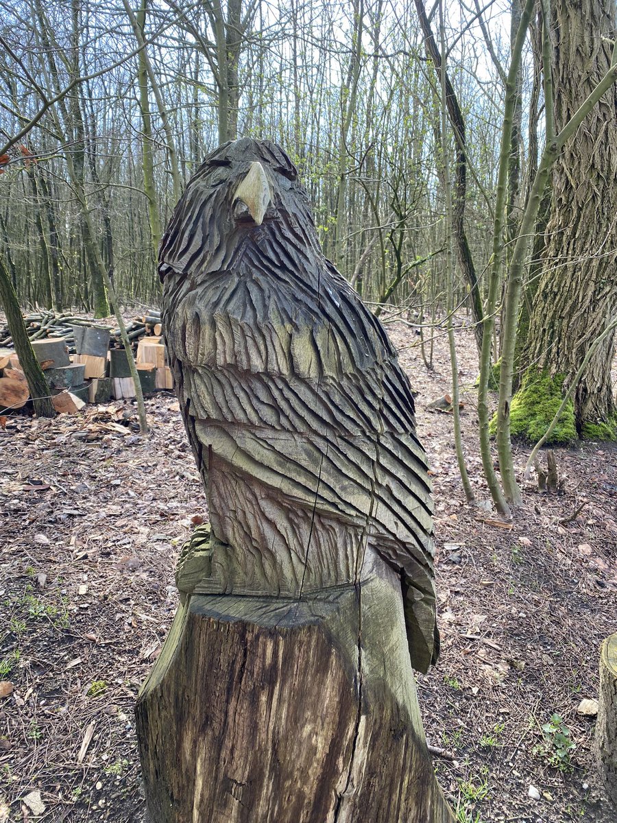 Lineke_DvP's tweet photo. #wandelen @GarderenNL https://t.co/bzrsjx7thb
