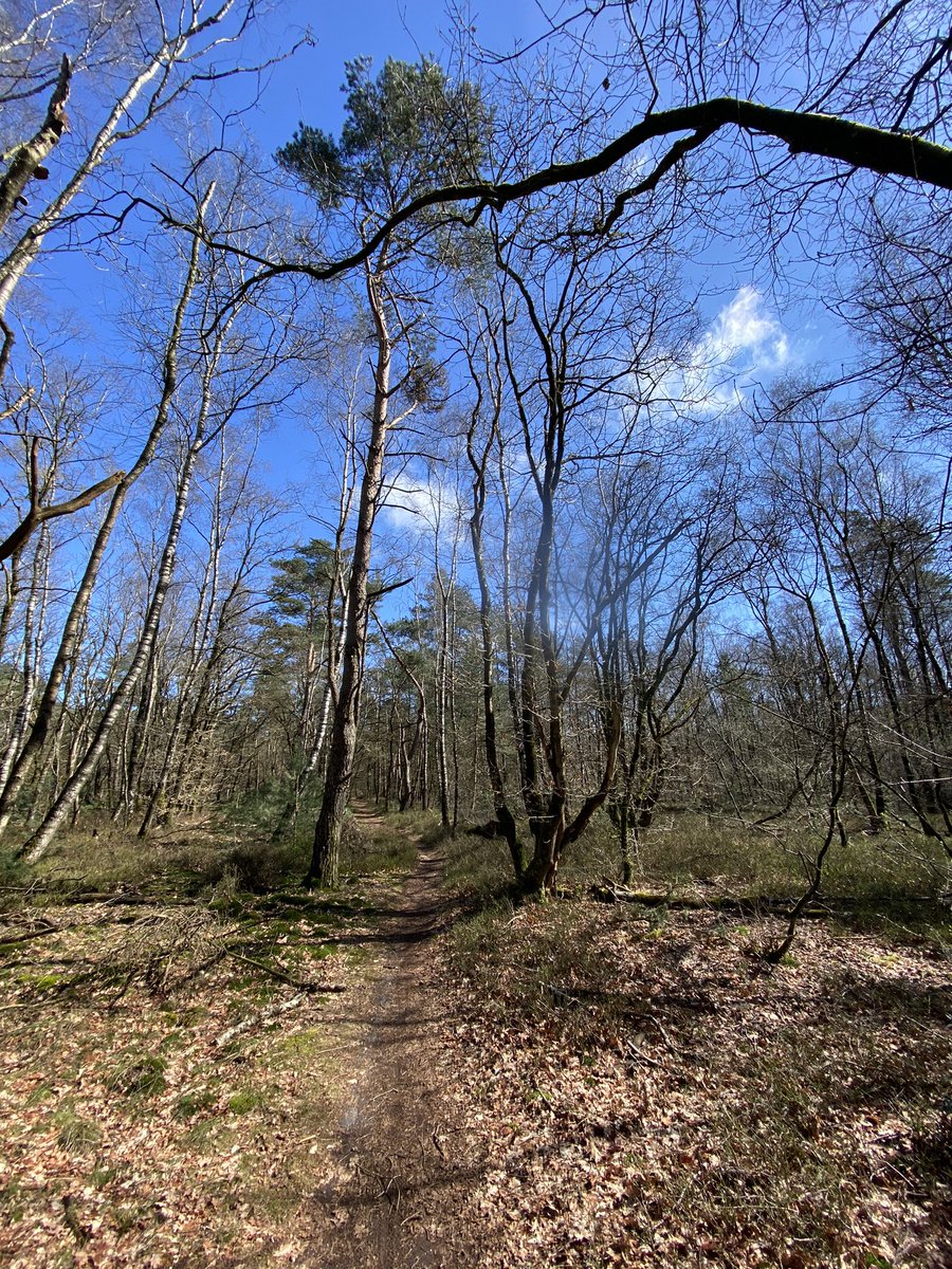 #wandelen <a href="/GarderenNL/">Garderen.nl</a>