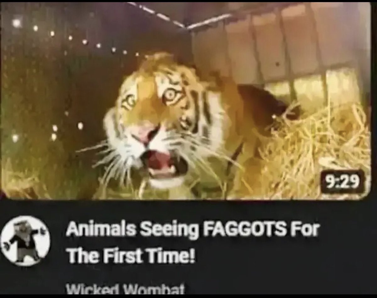 CHRISTMAS izzy!!!! 🍉🔻 on X: “thought this was funny https://t.co