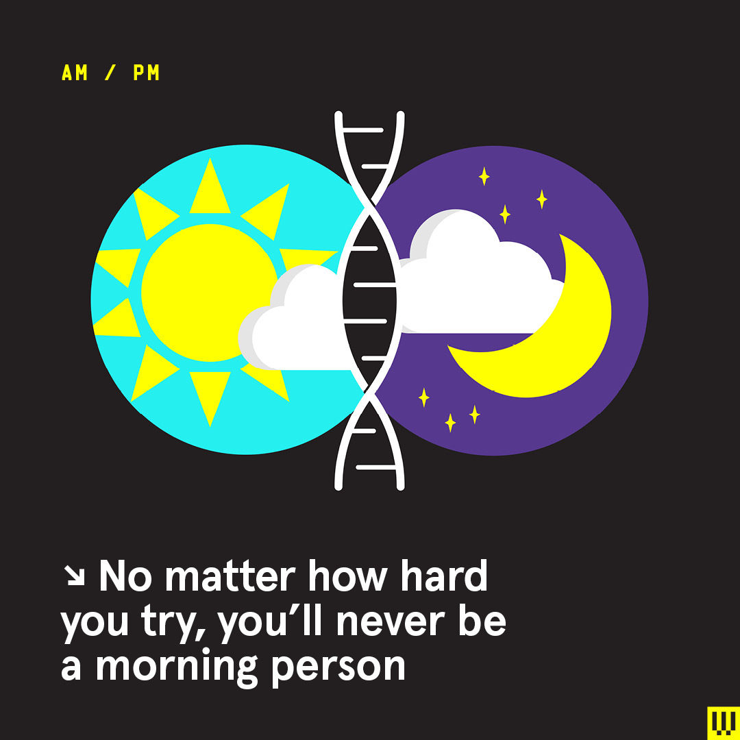 WIRED's tweet photo. You heard it here first: being a morning person doesn't make you better than anyone else. It's not really about discipline or motivation, our genes are responsible for the way our body clock regulates sleeping.

Read more about the science: https://t.co/VGBYGqmGED (From 2019) https://t.co/z0bUmOeT7X