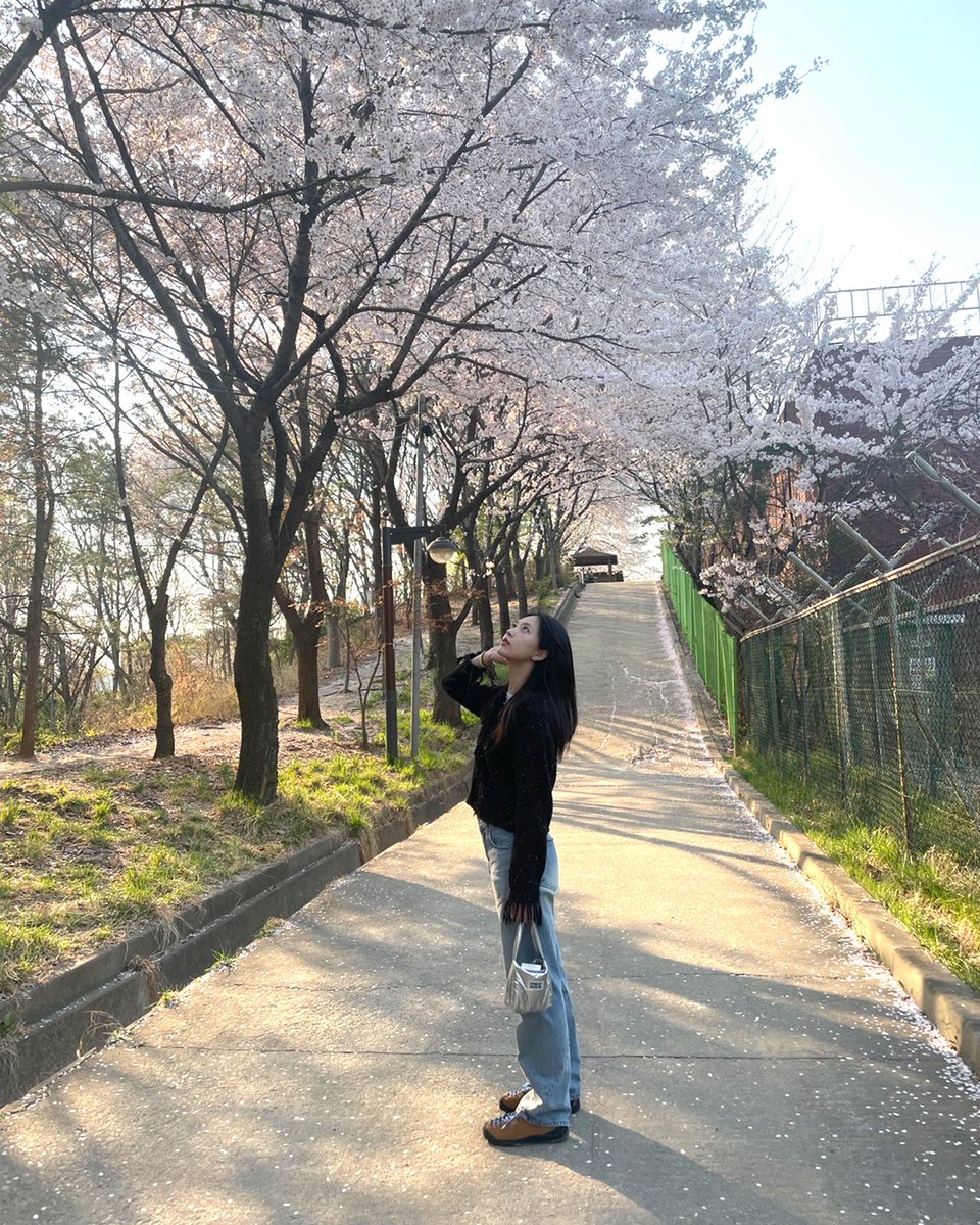 irris_official's tweet photo. 🐬#IL 

After winter ❄️🌸

#IRRIS #아이리스 #아이엘 https://t.co/WLTs6sB363