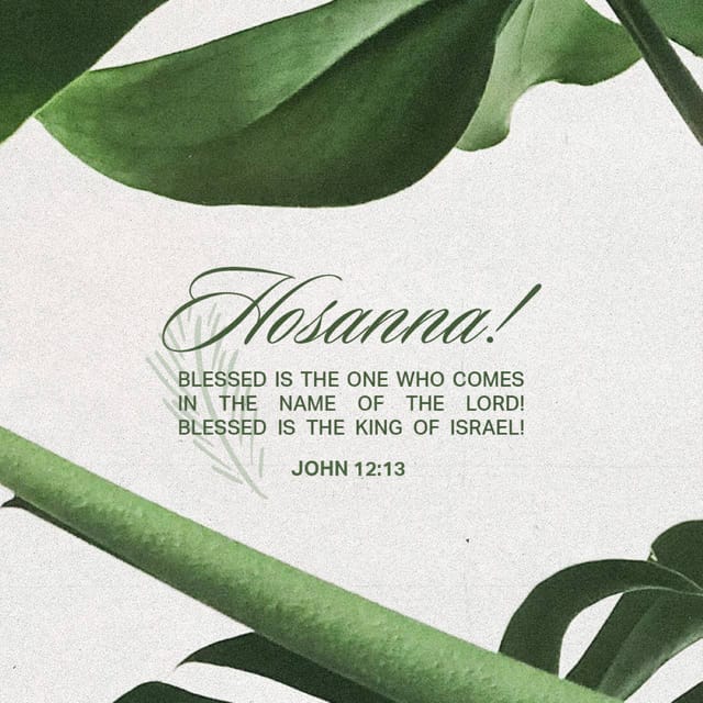 John 12:13