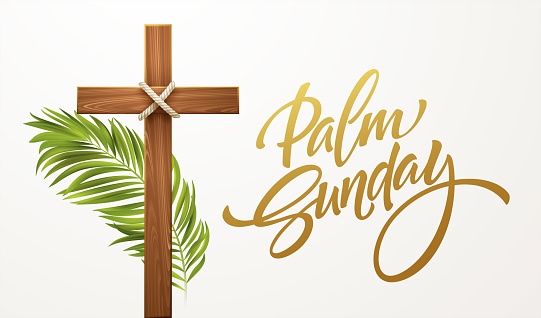 miainactionpod's tweet photo. Happy Palm Sunday to all who celebrate! https://t.co/obUYWA94ZJ