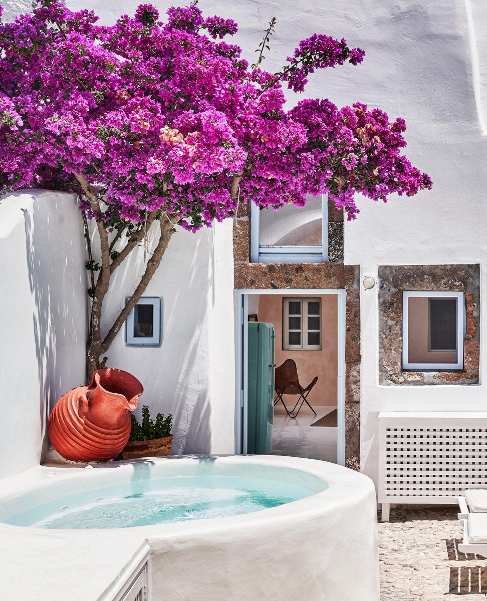 Plum Guide tweet media