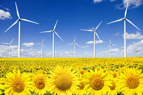 El precio de la electricidad en Alemania en caída libre por el boom de las energías renovables
agroalimentando.com/nota/1706