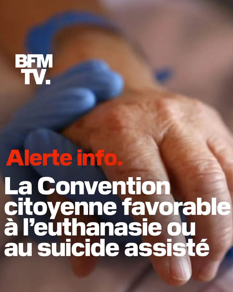 IngridPuppet's tweet image. 