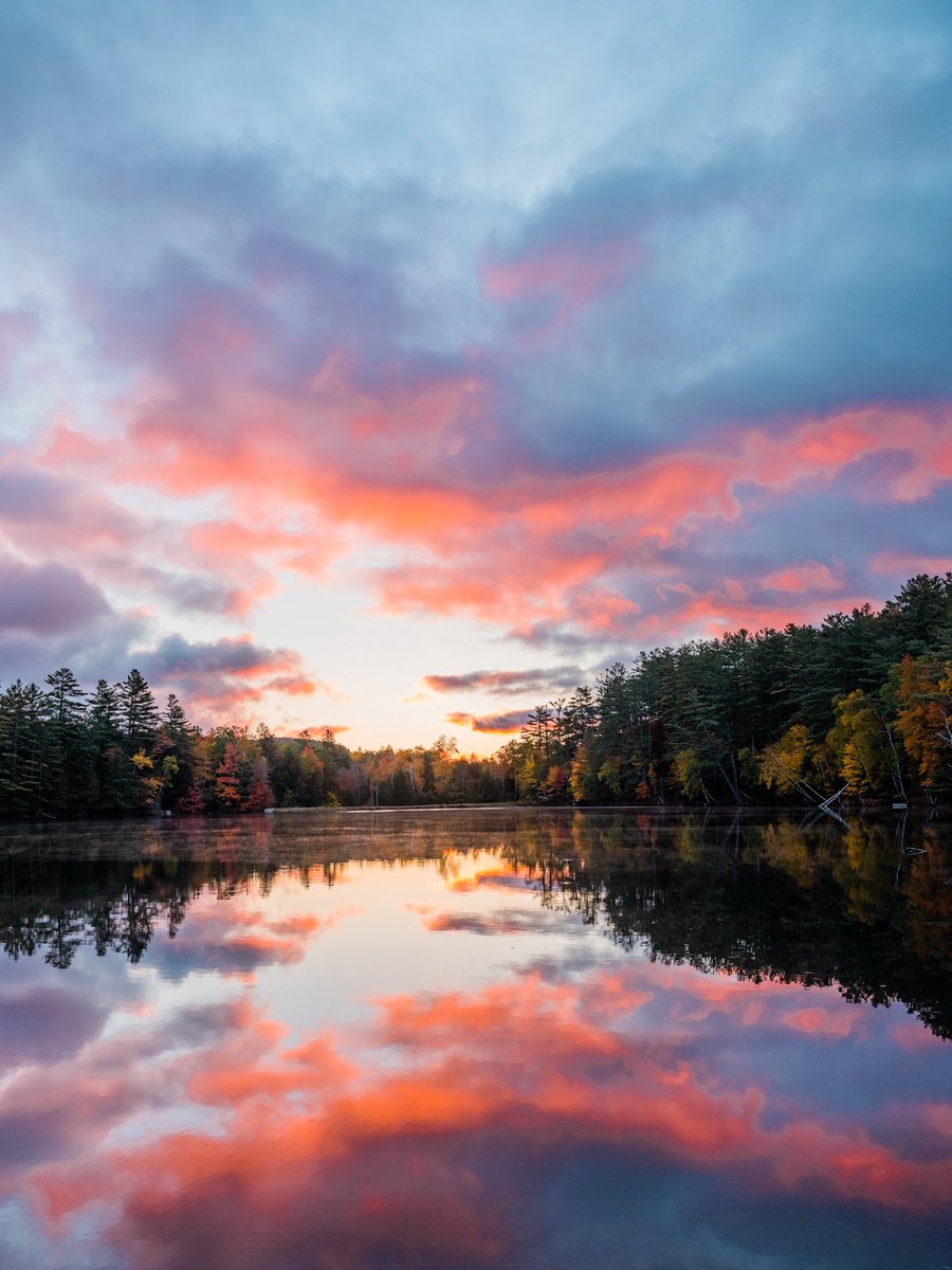 Nevin Johnson tweet media