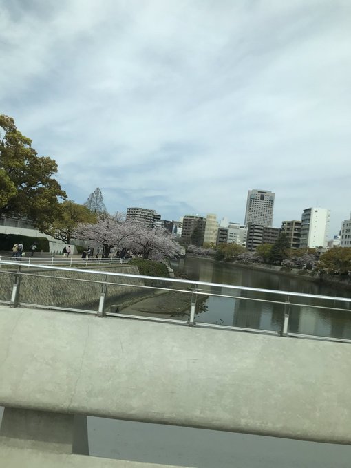 花見散歩した後　むさしの弁当買って　ウチに帰って食べる 