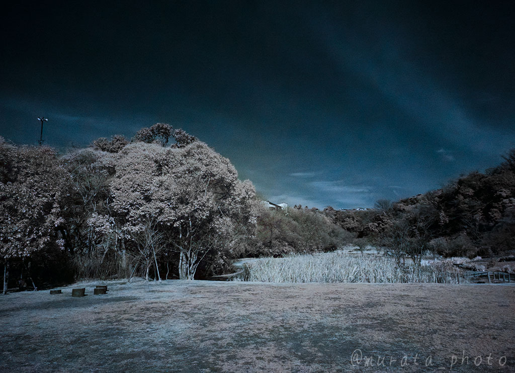 murata_photo's tweet image. また #赤外写真 のテンションが上がってきた。
でも、#ColorSwap 下手なんだよなぁ；；
#art
#現代美術
#美術写真
#artgallery
#artcollector
#art_world