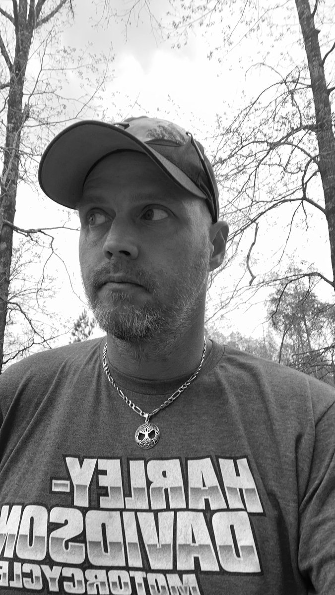 TIM3R tweet media