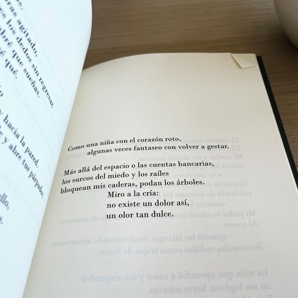 pilar_cgarcia's tweet photo. Qué bello reconocerse en los que leemos, en lo que escribimos. Qué importante lo que ha hecho @MariaGlezML en ‘Creatura’ (@canticoed). Qué hermosa esta maternidad feroz #NiUnDíaSinPoesía https://t.co/294Xwzd6VA