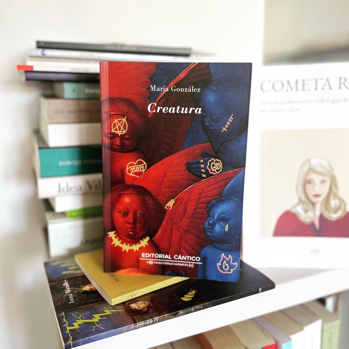 pilar_cgarcia's tweet photo. Qué bello reconocerse en los que leemos, en lo que escribimos. Qué importante lo que ha hecho @MariaGlezML en ‘Creatura’ (@canticoed). Qué hermosa esta maternidad feroz #NiUnDíaSinPoesía https://t.co/294Xwzd6VA