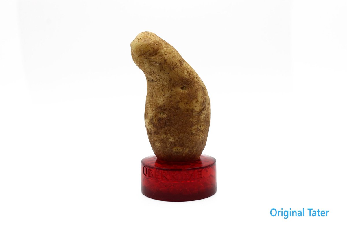 uberrimedildos's tweet photo. Apparently the April Fool's potato dildo was one of our most popular posts. Here's the tater we used to make a mold. 3D printed base, some hot glue, magic, resin, and boom... We got a Dicktater Dildo. We'll leave the listing active until tomorrow!
https://t.co/TMFpMVB7Vf https://t.co/8ChO9Ok70X
