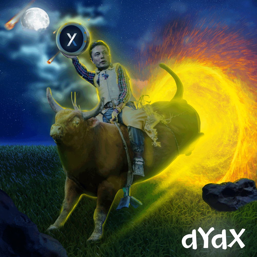 bitboy691's tweet photo. @dYdXTurkiye #dYdXMemeYarısması 
elon musk'un ne tuttuğunu görün https://t.co/jGunsoWuWd