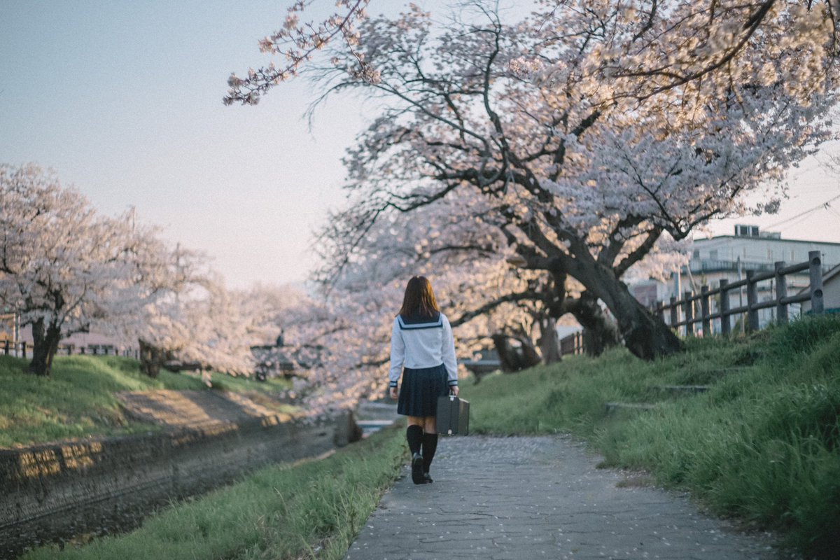 ★みすず★ みすずさん。 on X