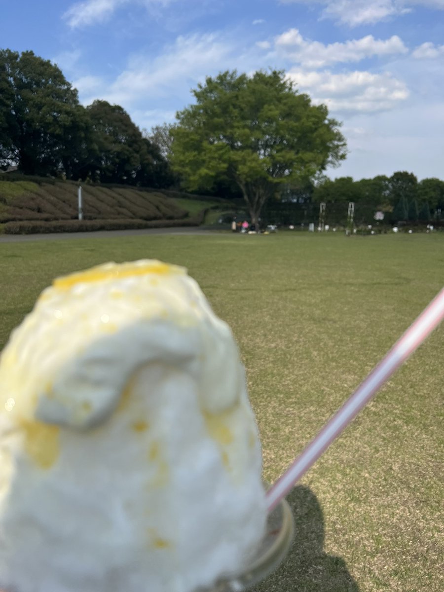 ANDAKKORO's tweet photo. 今日はピクニック気分で集まってHBD Type&TharnType結婚記念日ときーちゃんHBD🎂
健全な私たち☺️💕
お嬢さん方と入れ替わりでかき氷を買いに行った私の視線の先…ちょっと離れたあの場所であんなことやこんな事をやっていました。
#みんなでTharnType祝結婚記念日
#TharnType祝結婚記念日
#HBDType https://t.co/BJTaiTUzGe