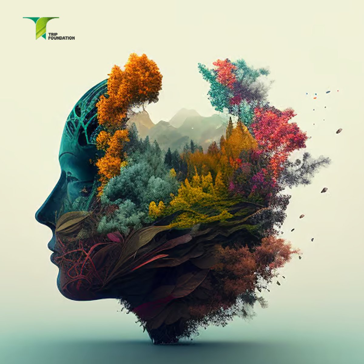 GreenFoundhssm's tweet photo. What's on your mind? 🧠
Think green🧪, think nature 🌱
Start today with Tripfoundation:
https://t.co/3tO5O7frjz
#Tripfoundation #Refi #crypto https://t.co/VbcMMipcFl